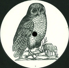 Unknown Artist : Untitled (12", Unofficial)