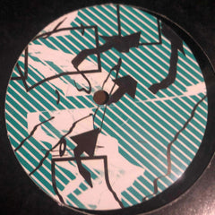 Reset Robot : She Lives Above The Door (12")