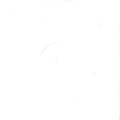 Illum Sphere : Birthday (12")