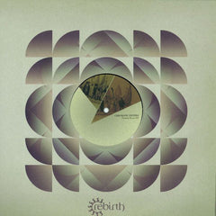 Chromatic Filters : Distant Roots EP  (12", EP)