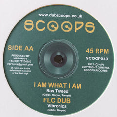 Prof. Natty / Sally Hossack / Ras Tweed / Vibronics : R.a.s.t.a.f.a.r.i. / Mystic Air / I Am What I Am / Flc Dub (10")
