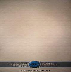 Outrage (4) : Patients / The Rebel (12")