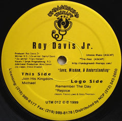 Roy Davis Jr. : Love, Wisdom, & Understanding (12")