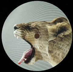 Ejeca & Chamboche / Last Mood / Ste Waite : Delayed EP 2 (12")