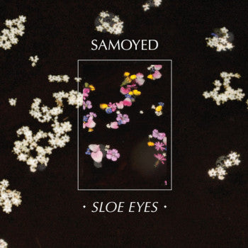 Samoyed : Sloe Eyes (12")