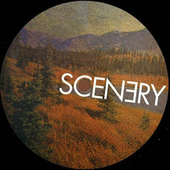 Deep Space Orchestra / Bantam Lions : We Held On (12", EP)