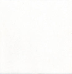 Cluekid : Spider Monkey / Rainy Street Light (10")