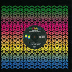Sare Havlicek : Insinuations And Allusions (12")
