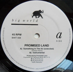 Promised Land : Something In The Air (12")