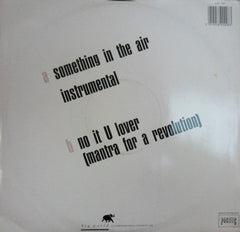 Promised Land : Something In The Air (12")
