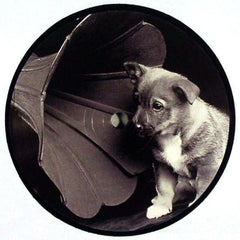 Rotty : Introducing Rotty E.P. (12", EP)