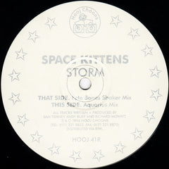 Space Kittens : Storm  (12", 2/2)