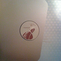 Tempted Touch : Nightfly (12")