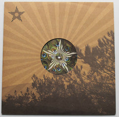 goldFFinch : The Volume EP (12")