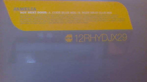 Jamelia : Boy Next Door - Raw Soul & Stush Mixes (12", Promo)
