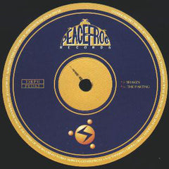 Planetary Assault Systems : The Electric Funk Machine (2x12", Album)