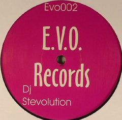 Stevolution : I Never Knew (12")