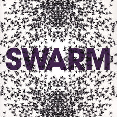 New York Transit Authority : Swarm / Hard Work (12")
