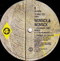 Womack & Womack : Celebrate The World (The People Unite Remix) (12")