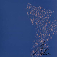 Aster (5) : Things That Just Happen (LP)