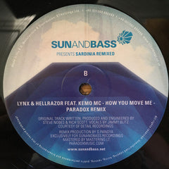 ARPXP / Lynx & Hellrazor : Winter In Sardinia / How You Move Me (Remixes) (12")