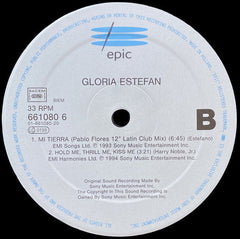 Gloria Estefan : Hold Me, Thrill Me, Kiss Me (12", Single)