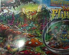 DJ Flare : Magnifrying Glass (DVD-V, Mixed)