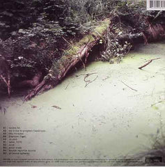 Tilman Ehrhorn : Heading For The Open Spaces (LP, Album)