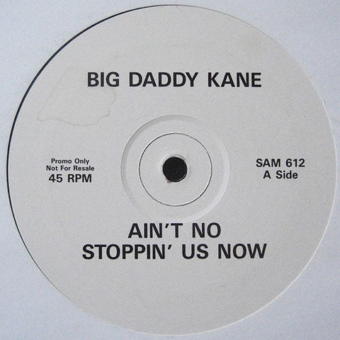 Big Daddy Kane : Ain't No Stoppin' Us Now (12", Promo)