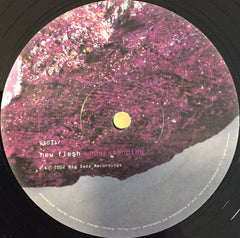 New Flesh : Understanding (2xLP, Album)
