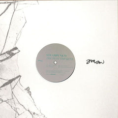 Steampunk'd : The Plot Thickens (12")