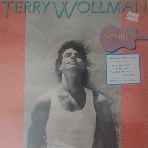 Terry Wollman : Bimini (LP)