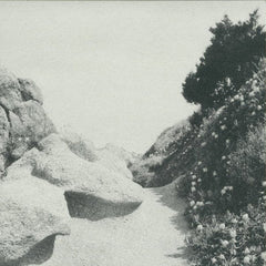 Tilman : Mild Western EP (12", EP)
