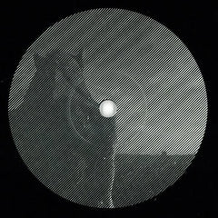 Nova Nova & Peter Hook : Low Ends (Part 1) (7", RSD, Ltd)