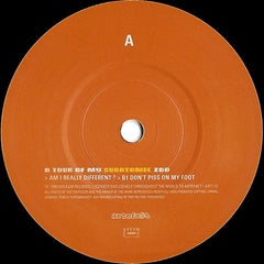 Mr Quark : A Tour Of My Subatomic Zoo (7")