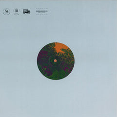 Simple Symmetry : Apes In The Orange Groove (12")