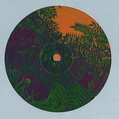 Simple Symmetry : Apes In The Orange Groove (12")