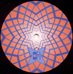 VFN Experience : Volume One (12")