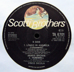 James Brown : Living In America (R 'n' B Extended Mix) (12", Single)