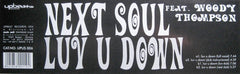 Next Soul Feat. Woody Thompson : Luv U Down (12")