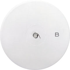 DMX : We In Here (12", W/Lbl)