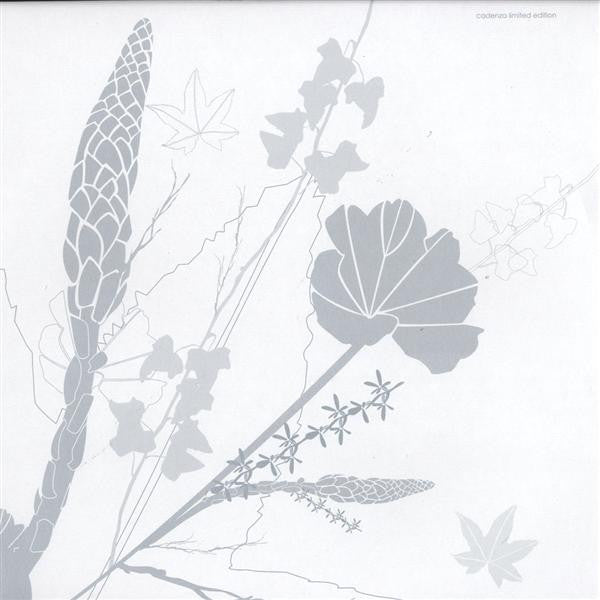 NSI : Clara Ghavami Extended (12", S/Sided, Ltd)