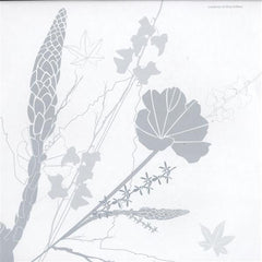 NSI : Clara Ghavami Extended (12", S/Sided, Ltd)