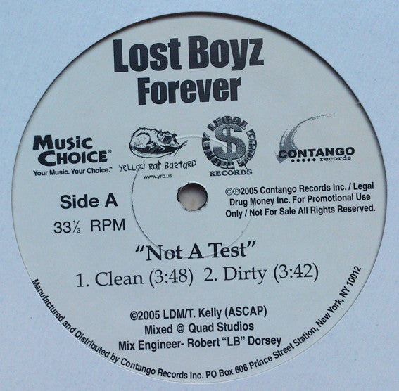 Lost Boyz : Not A Test (12", Promo)