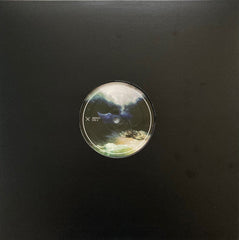 Djrum* : Plantain / What I Was Doing When I Was Doing What I Was Doing (12", Gre)