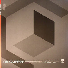 Calyx & Teebee : A Day That Never Comes / Snakes & Ladders (12")