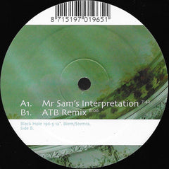 Mr Sam* Featuring Kirsty Hawkshaw : Insight (Disc 2) (12")