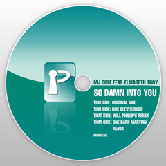 MJ Cole Feat. Elisabeth Troy : So Damn Into You (12")