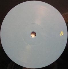 System (9) : Final Approach LP Sampler (12", Smplr)