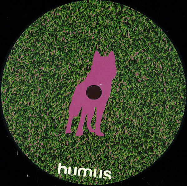 Solstice (20) : Blue Husky (12")